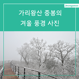가리왕산 중봉의 겨울풍경